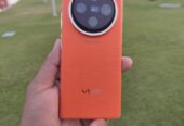 Vivo x100 Pro 12 256 GB