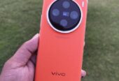 Vivo x100 Pro 12 256 GB