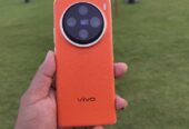 Vivo x100 Pro 12 256 GB