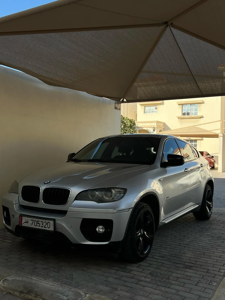 2009 BMW X6