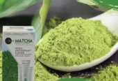 MATCHA TEA
