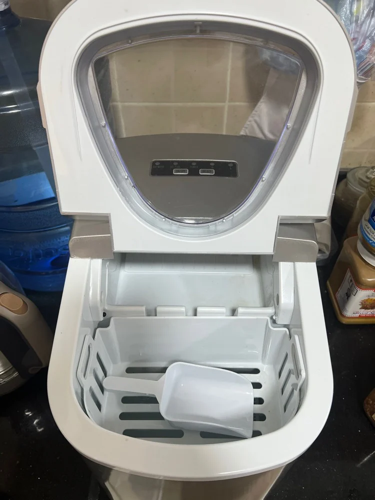 Ice maker