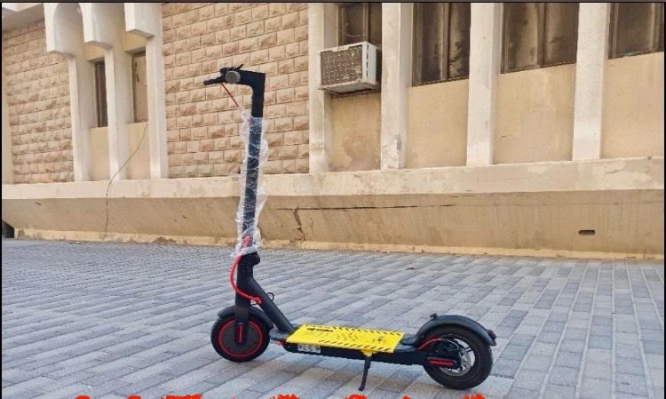 Electric Scooter