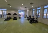 Fully Furnished 1 bhk Apartment
