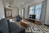 Fully Furnished 1 bhk Apartment