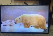 50 inch smart android 4k tv