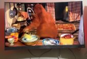 TCL 55 inches 4K Smart TV