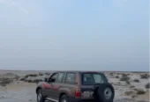 جي اكس ار.  GXR