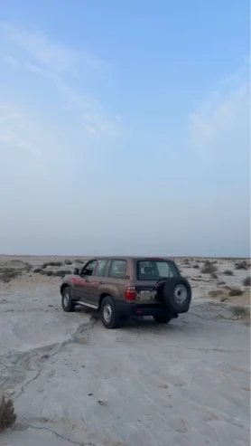 جي اكس ار.  GXR