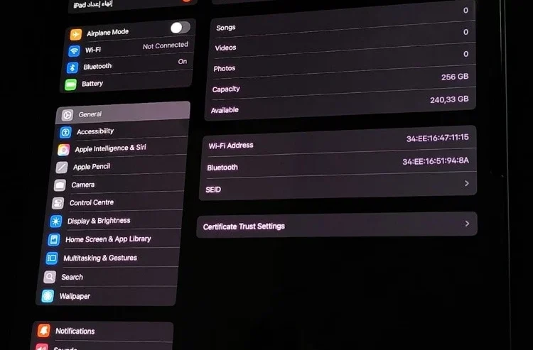 ipad pro 13 ” m4 256 gb wifi