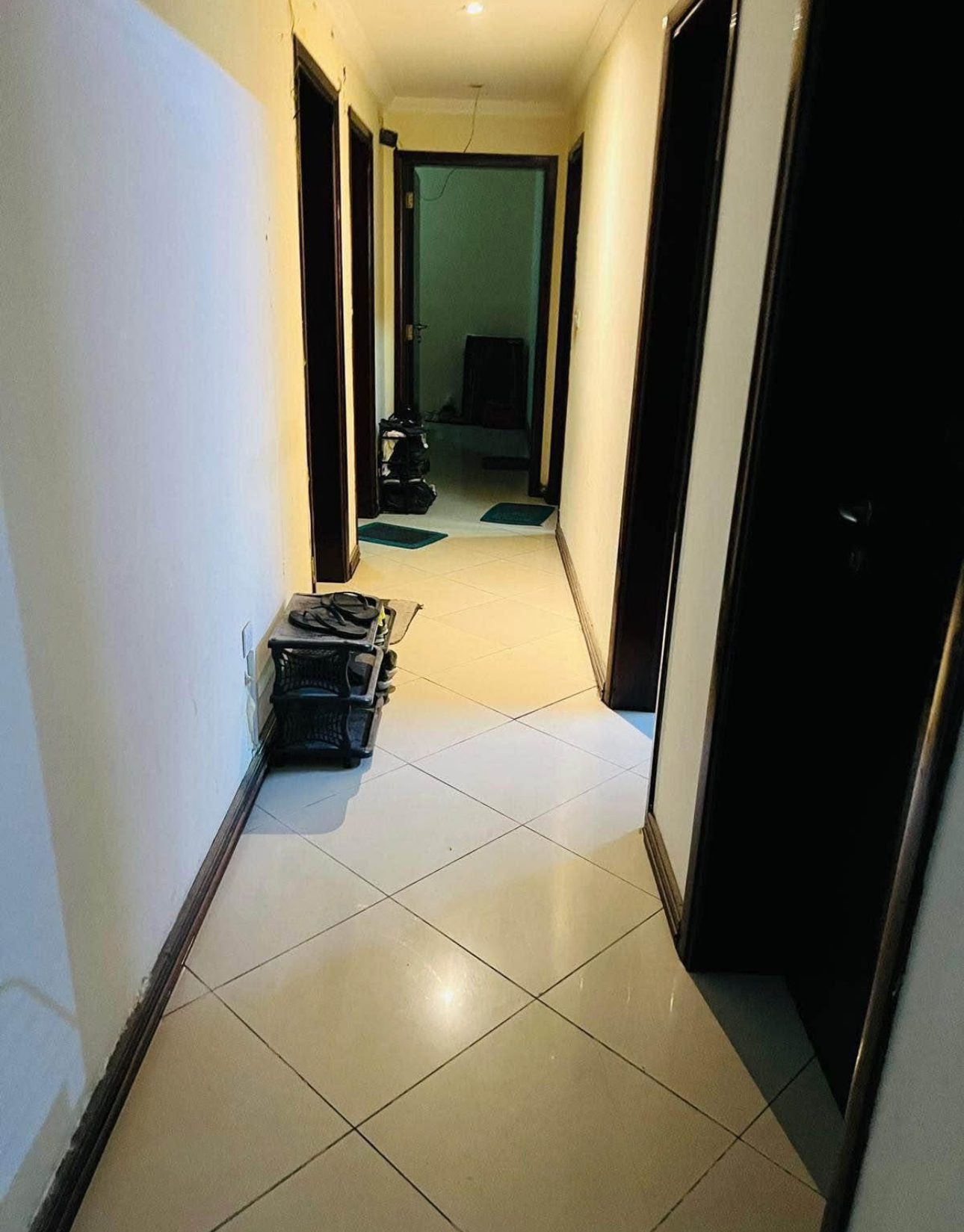 Executive bachelor Single/sharing room