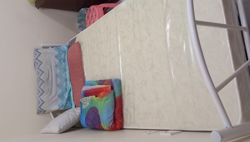 Accommodation for Executive Bachelor