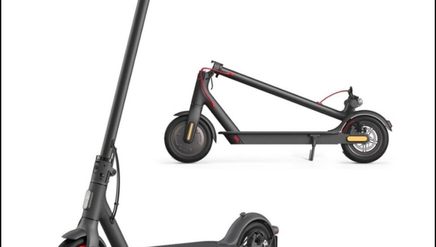 Electronic Scooter