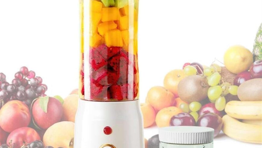 Fruit Juicer 500ML (CDL-008)