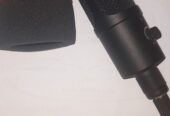 mic