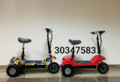 electric tri-scooter