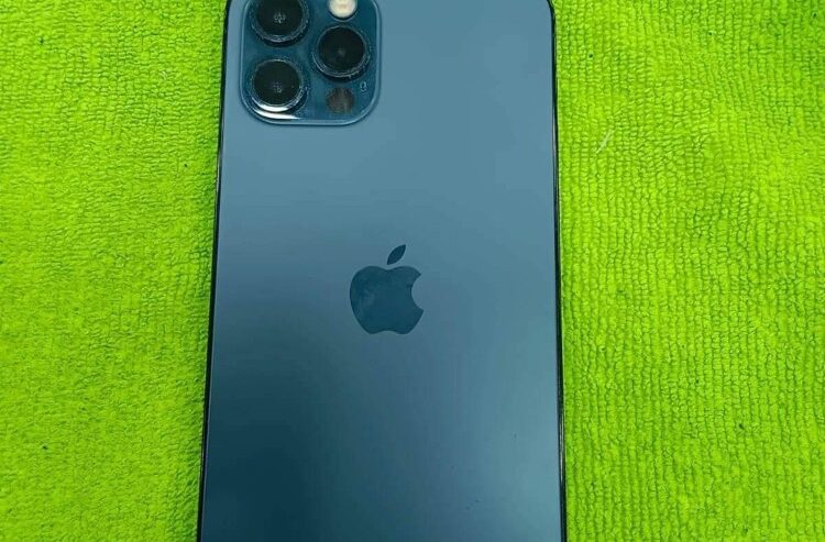 iPhone 12 Pro Max 256