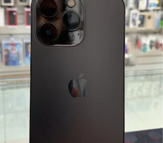 13 pro 256