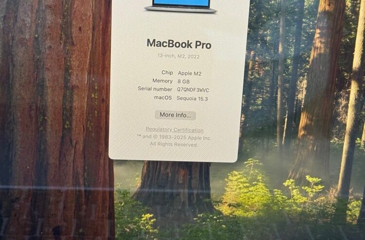 APPLE MACBOOK PRO M2 256GB