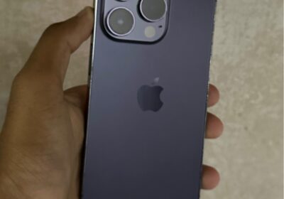 92963077-1b77d388de