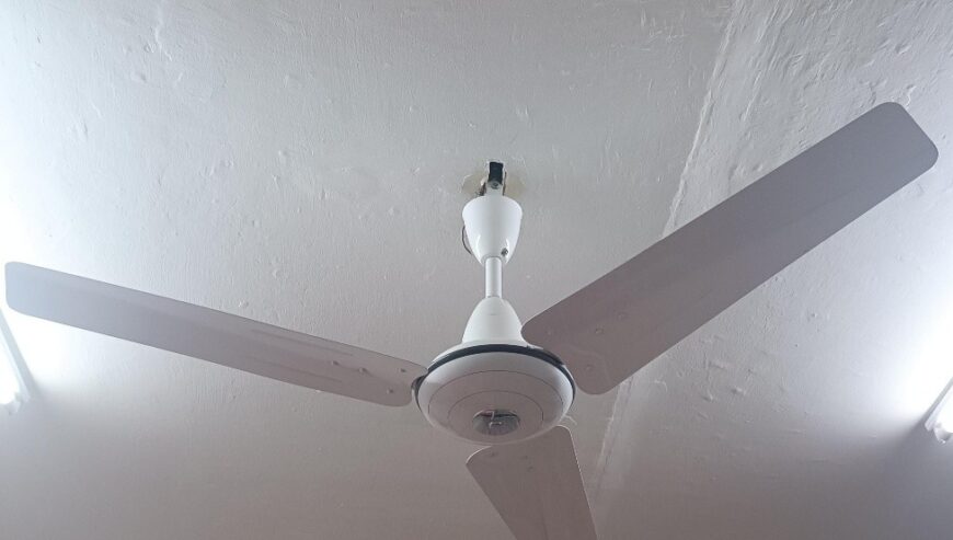 Fan