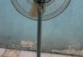 Fan