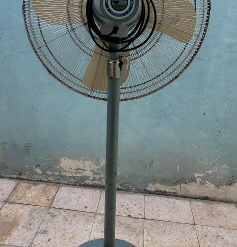Fan