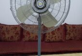 Fan