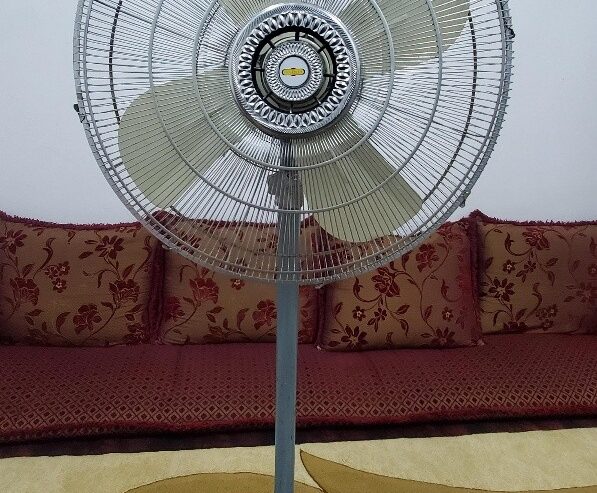 Fan