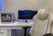 gaming and pro setup all max