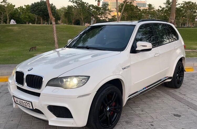 bmw x5M
