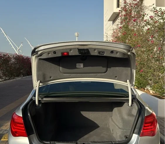 Bmw 730 Li 2010