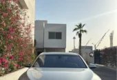 Bmw 730 Li 2010