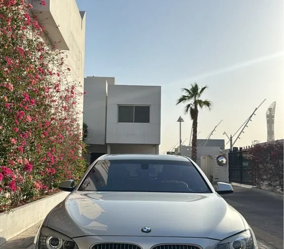 Bmw 730 Li 2010
