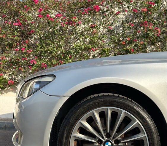 Bmw 730 Li 2010