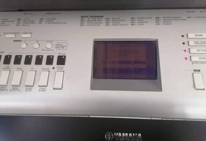 Yamaha Dgx 530 (electronic piano)