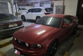 MUSTANG URGENT SALE