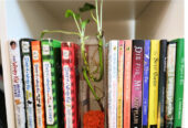 Novels. Children Books.Other Books.