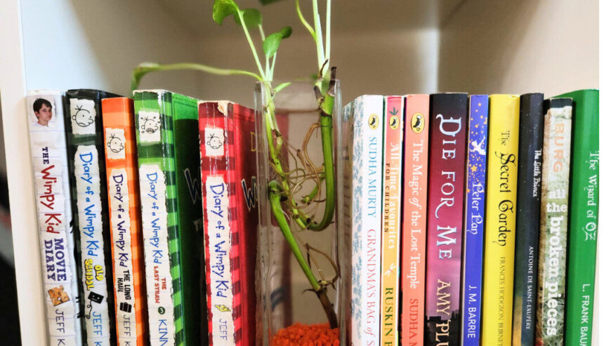 Novels. Children Books.Other Books.