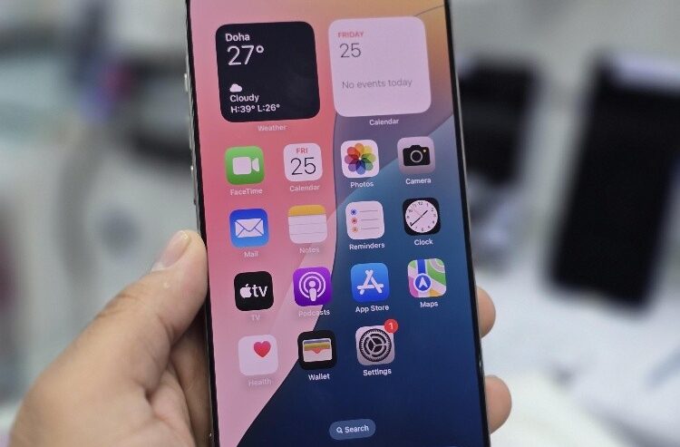 Apple iPhone 16 Pro Max 256 GB Used