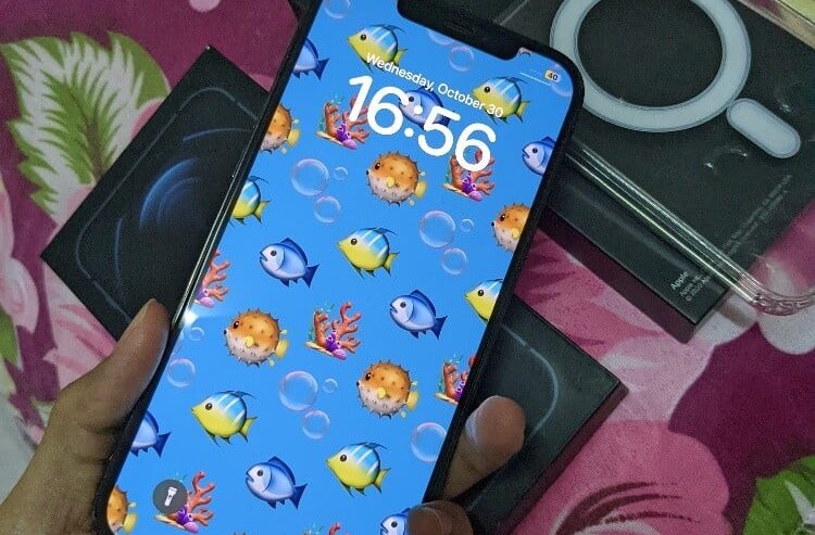 iphone 12 pro max 256 gb