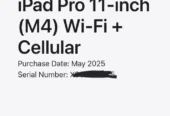11″ iPad Pro M4 256Gb Cellular
