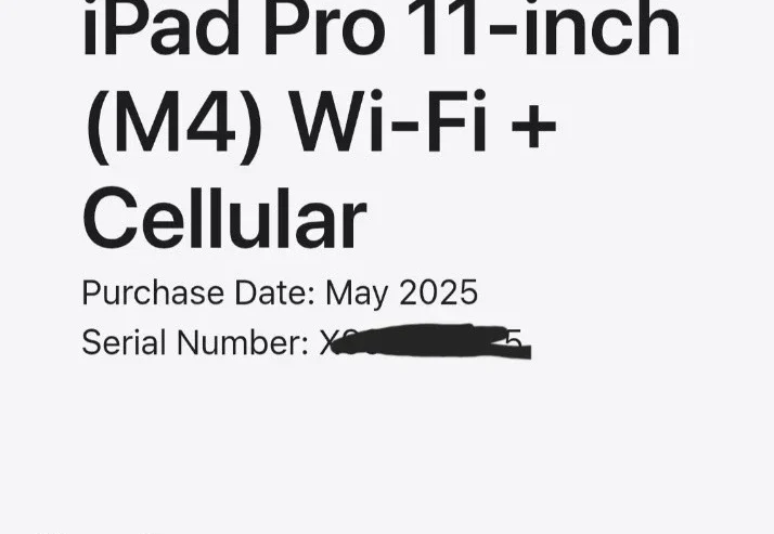 11″ iPad Pro M4 256Gb Cellular