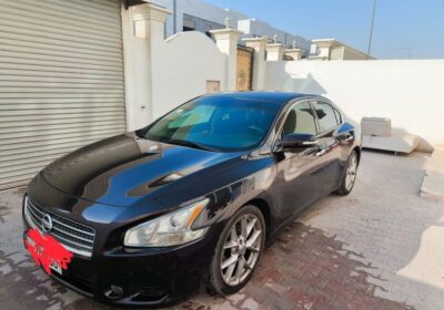92907797-24fafe85cb