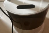 Steam Iron