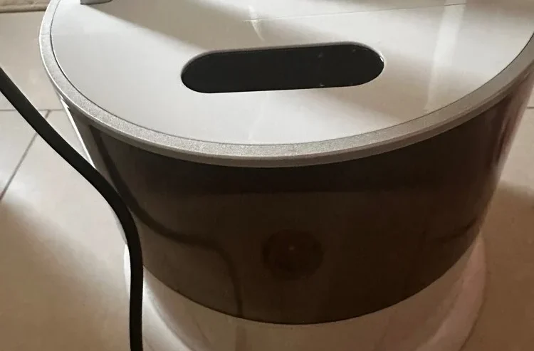 Steam Iron