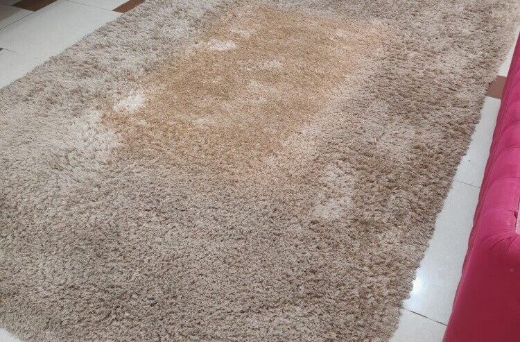 Large Area Rug