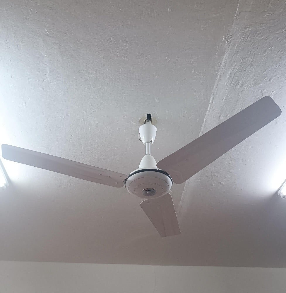 Fan