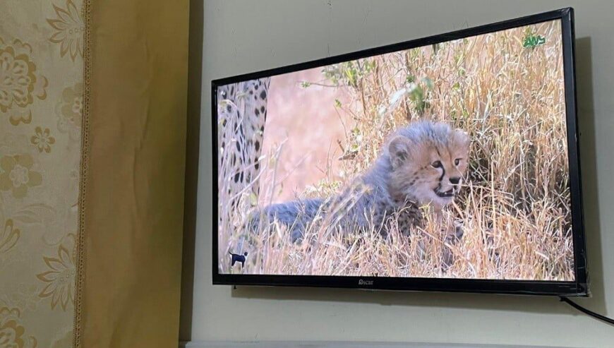 Oscar 32 smart android tv same li