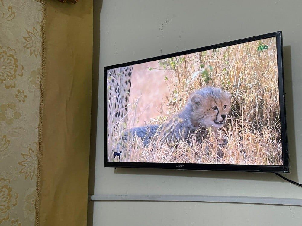 Oscar 32 smart android tv same li